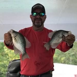 Meet your Posher, Brice